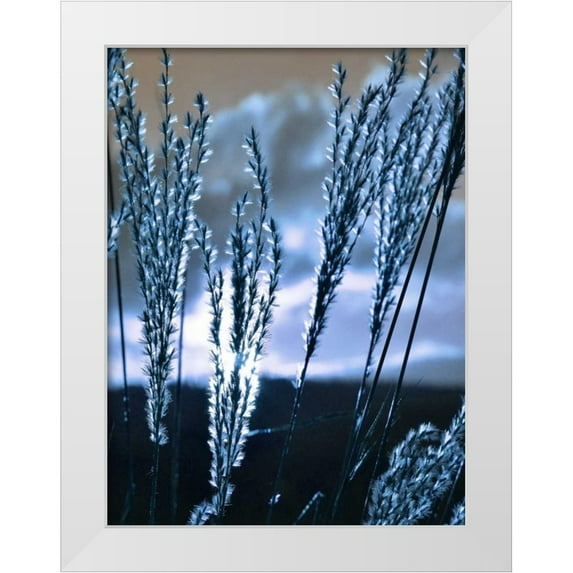 Lewis, Sheldon 19x24 White Modern Wood Framed Museum Art Print Titled - Blue Sunset 3