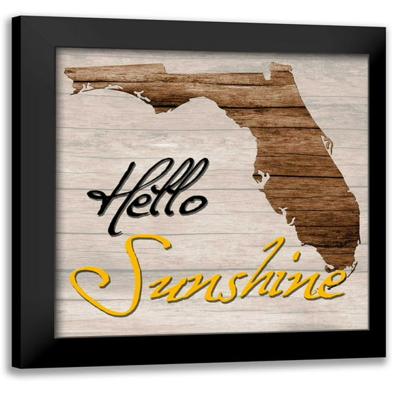Lewis, Sheldon 20x20 Black Modern Framed Museum Art Print Titled - Florida Map 2