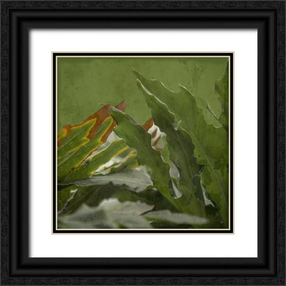 Lewis, Sheldon 20x20 Black Ornate Wood Framed with Double Matting Museum Art Print Titled - Botanical Garden