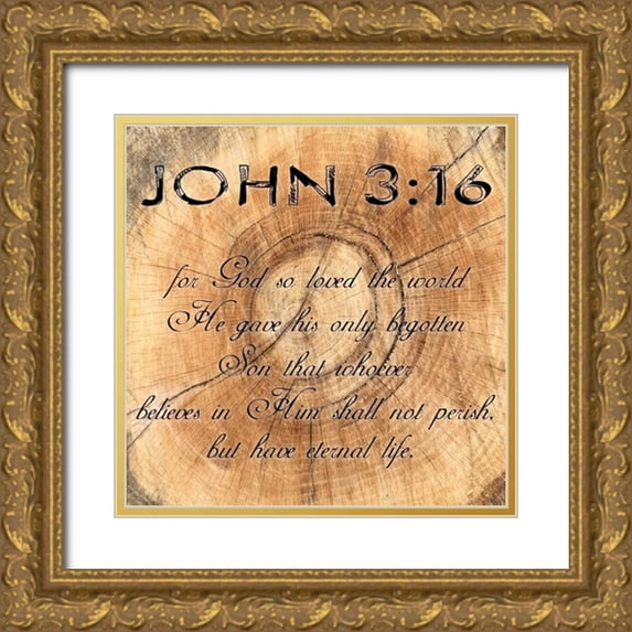 Lewis, Sheldon 20x20 Gold Ornate Wood Framed with Double Matting Museum Art Print Titled - John 3-16