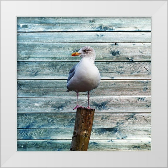 Lewis, Sheldon 20x20 White Modern Wood Framed Museum Art Print Titled - Ba Bird