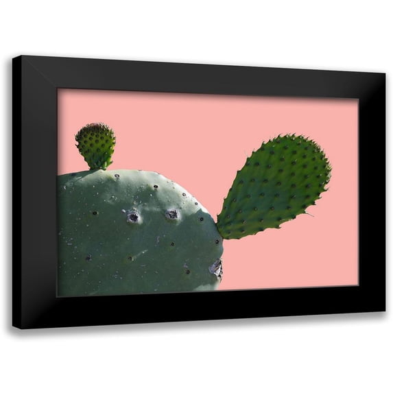 Lewis, Sheldon 24x18 Black Modern Framed Museum Art Print Titled - Cactus Slice 1