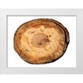 thumbnail image 1 of Lewis, Sheldon 24x19 White Modern Wood Framed Museum Art Print Titled - Earthy Rings Of Ages, 1 of 4