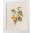 thumbnail image 1 of Lewis, Sheldon 25x32 White Modern Wood Framed Museum Art Print Titled - Fruity Botanic 2, 1 of 4