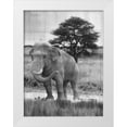 thumbnail image 1 of Lewis, Sheldon 25x32 White Modern Wood Framed Museum Art Print Titled - Map Africa, 1 of 4