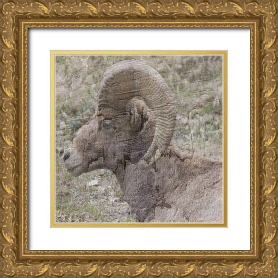 Lewis, Sheldon 26x26 Gold Ornate Wood Framed with Double Matting Museum Art Print Titled - Big Horn