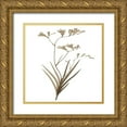 thumbnail image 1 of Lewis, Sheldon 26x26 Gold Ornate Wood Framed with Double Matting Museum Art Print Titled - Earth Balance 4, 1 of 4