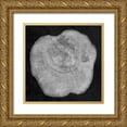 thumbnail image 1 of Lewis, Sheldon 26x26 Gold Ornate Wood Framed with Double Matting Museum Art Print Titled - Terrarium Plank 2, 1 of 4