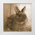 thumbnail image 1 of Lewis, Sheldon 26x26 White Modern Wood Framed Museum Art Print Titled - Robby, 1 of 4
