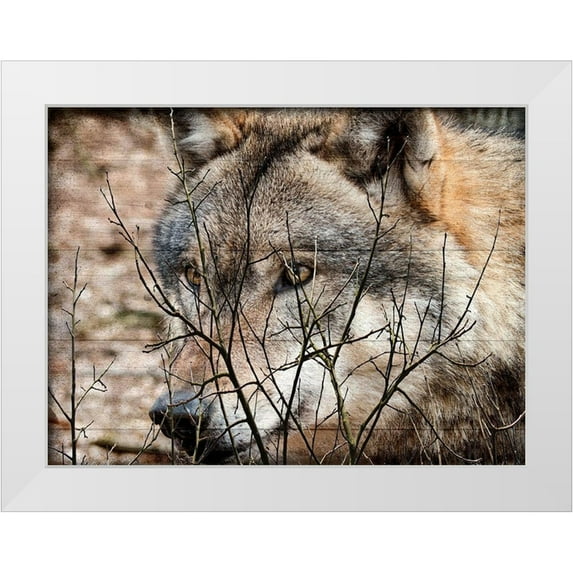 Lewis, Sheldon 32x25 White Modern Wood Framed Museum Art Print Titled - Hunt