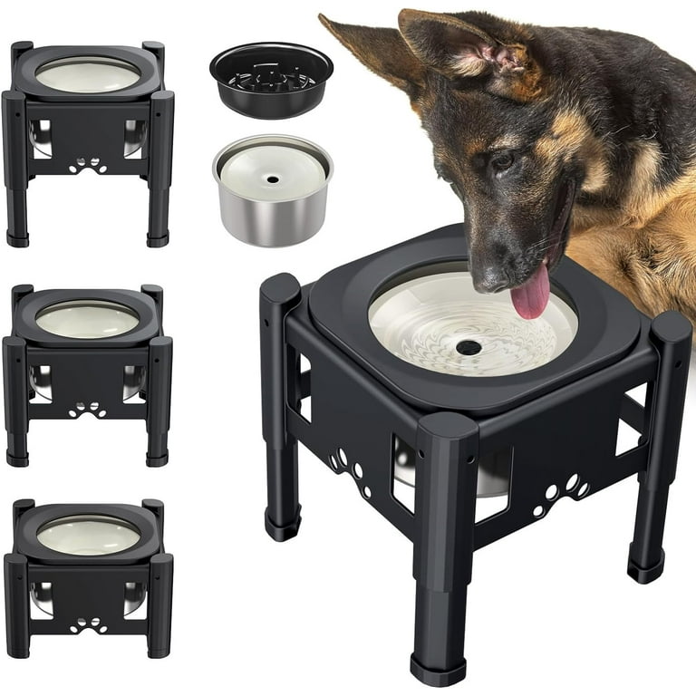 Single bowl sale elevated dog feeder