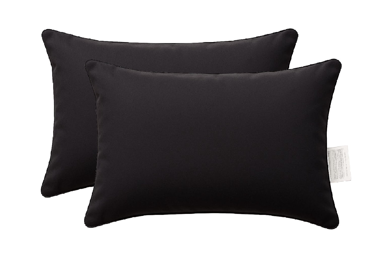 Lexi Black Rectangular Outdoor Throw Pillow （Set of 2)