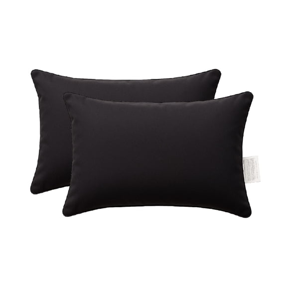 Lexi Black Rectangular Outdoor Throw Pillow （Set of 2)