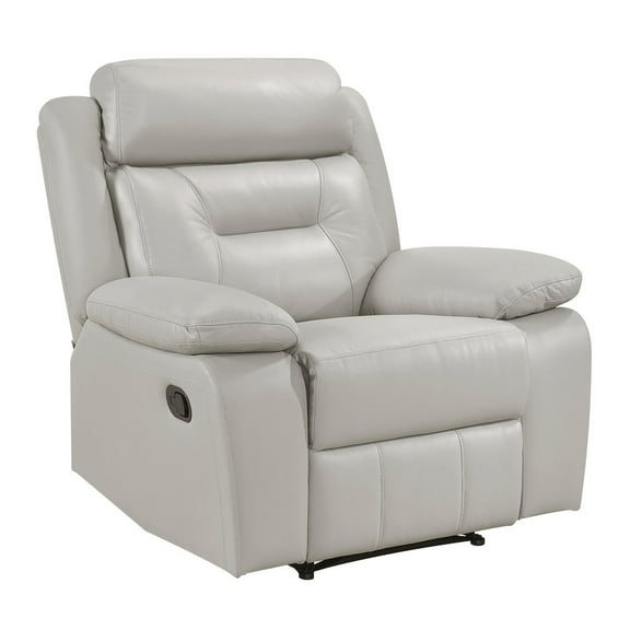 Lexicon Yates Microfiber Reclining Chair in Brownish gray