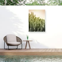 Lexie Greer 'Pink Sky Cactus' Outdoor Canvas