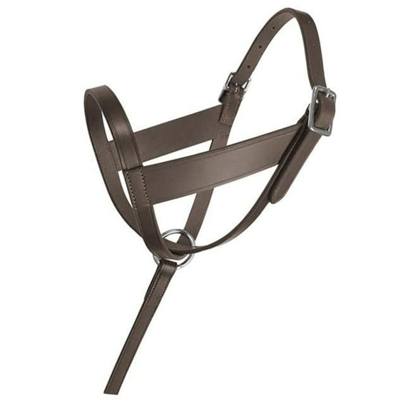 Lexington Leather Foal Halter