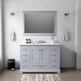 thumbnail image 1 of Lexora Home Dukes 48" Single Vanity with Mirror in Dark Gray, 1 of 8
