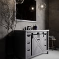 thumbnail image 1 of Lexora Home Marsyas 48" Single Vanity with Mirror in Dark Gray, 1 of 10