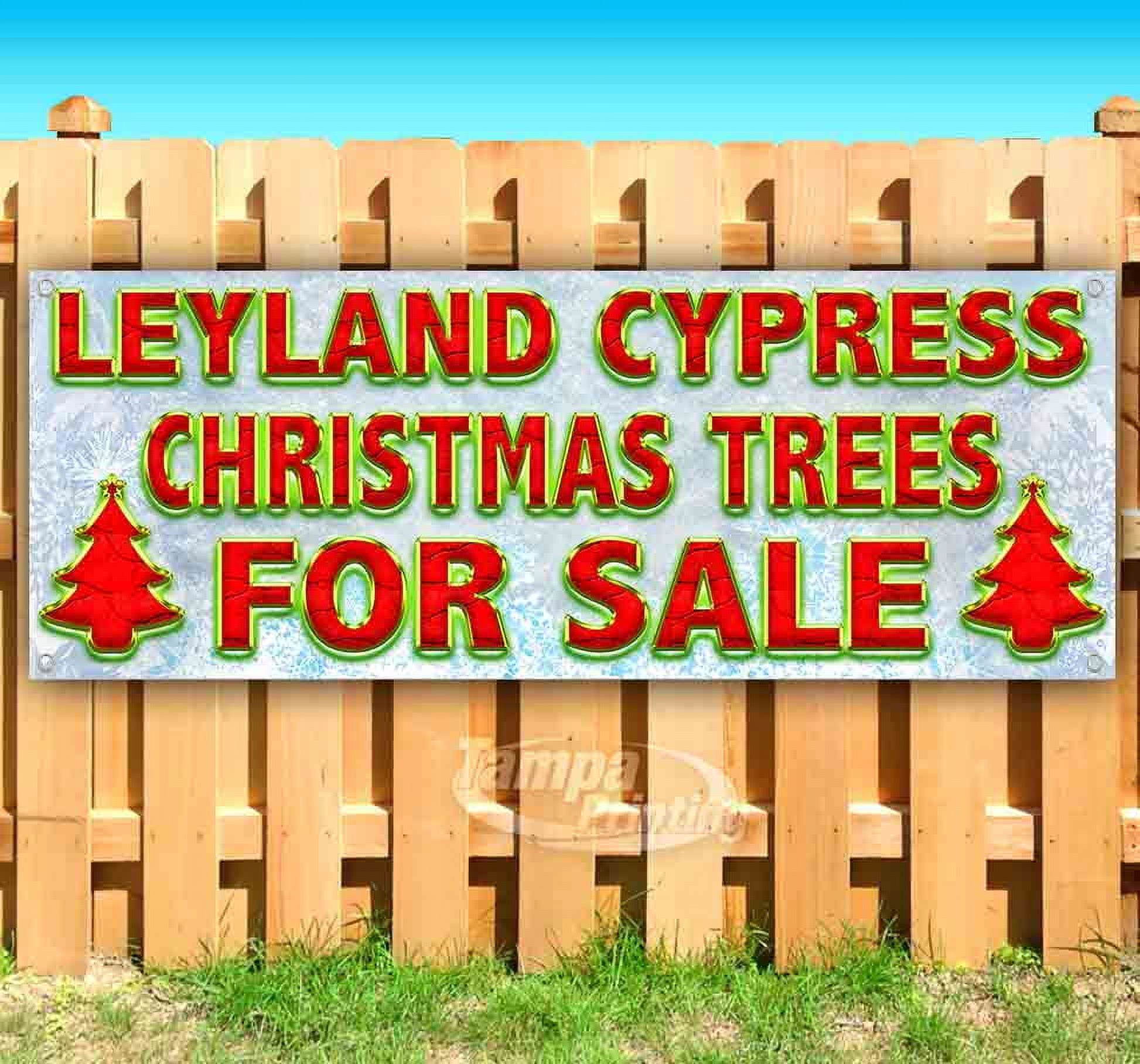 Leyland Cypress Christmas Trees For Sale Red Caps 13 oz heavy duty