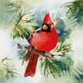 thumbnail image 1 of Lg Winter Cardinal Napkins-20Pk, 1 of 1
