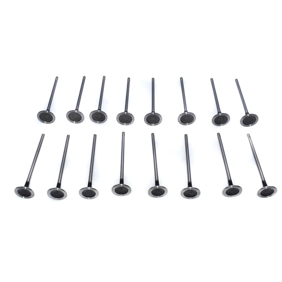 8x Intake Valves + 8x Exhaust Valves for Mini Cooper S R56 N14 16L 2007-2010-