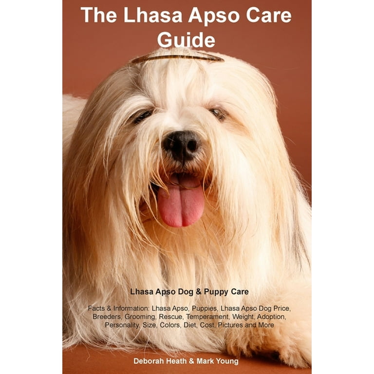 Lhasa apso puppies breeders sale