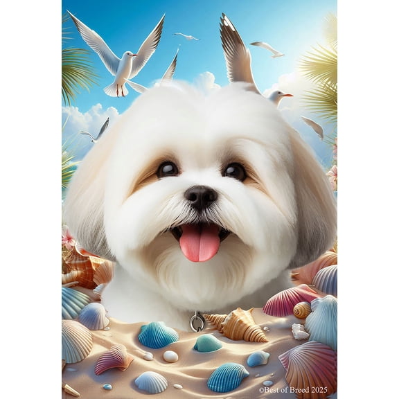 Lhasa Apso White - Best of Breed Summer Beach Outdoor Garden Flag 12" x 17" Mailbox Flag Dog Flag