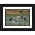 thumbnail image 1 of Li, Alex 18x13 Black Ornate Wood Framed with Double Matting Museum Art Print Titled - N/A, 1 of 4