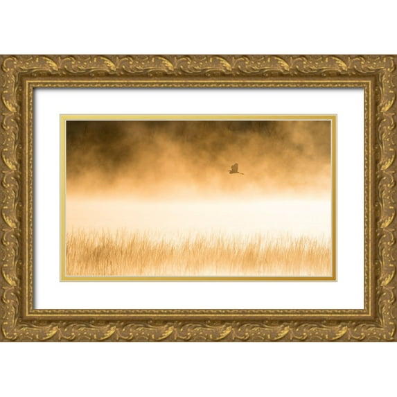 Li, Alex 24x16 Gold Ornate Wood Framed with Double Matting Museum Art Print Titled - Morning Flight