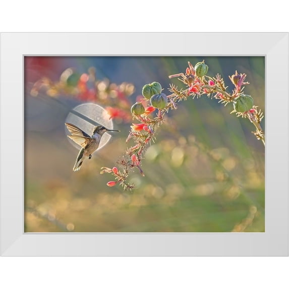 Li, Alex 32x25 White Modern Wood Framed Museum Art Print Titled - N/A