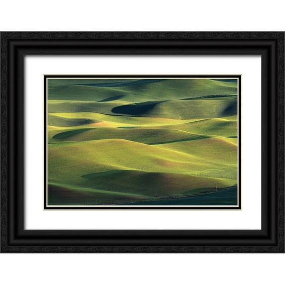 Li, Austin 24x17 Black Ornate Wood Framed with Double Matting Museum Art Print Titled - Dream Land