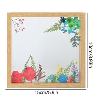 Glass Frame for Pressed Flowers, Leaf And Artwork - Hanging Square Metal  Picture Frames, Clear Double Glass Floating Frame, Wall Decor Photo Display  80x80mm 