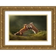 thumbnail image 1 of Li, Rob 18x13 Gold Ornate Wood Framed with Double Matting Museum Art Print Titled - Playful, 1 of 4