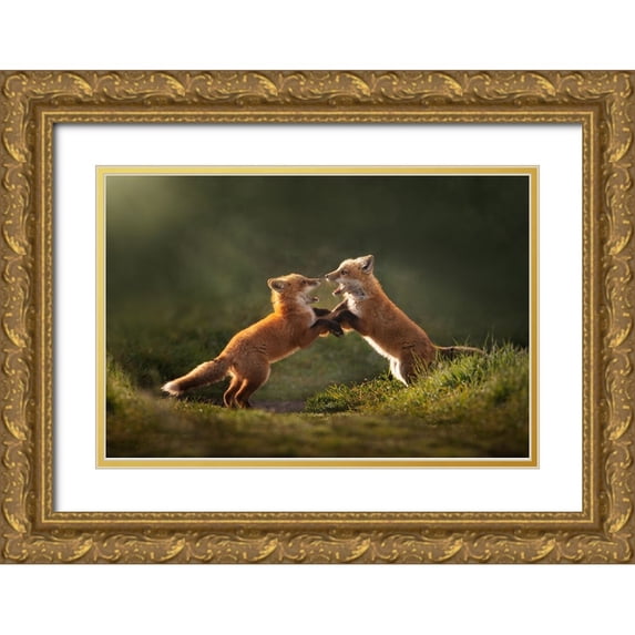 Li, Rob 18x13 Gold Ornate Wood Framed with Double Matting Museum Art Print Titled - Playful