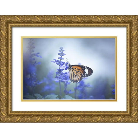 Li, Wang 24x17 Gold Ornate Wood Framed with Double Matting Museum Art Print Titled - Butterfly