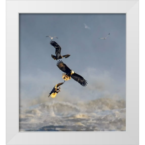 Li, Yunqiang 26x28 White Modern Wood Framed Museum Art Print Titled - Bald Eagles