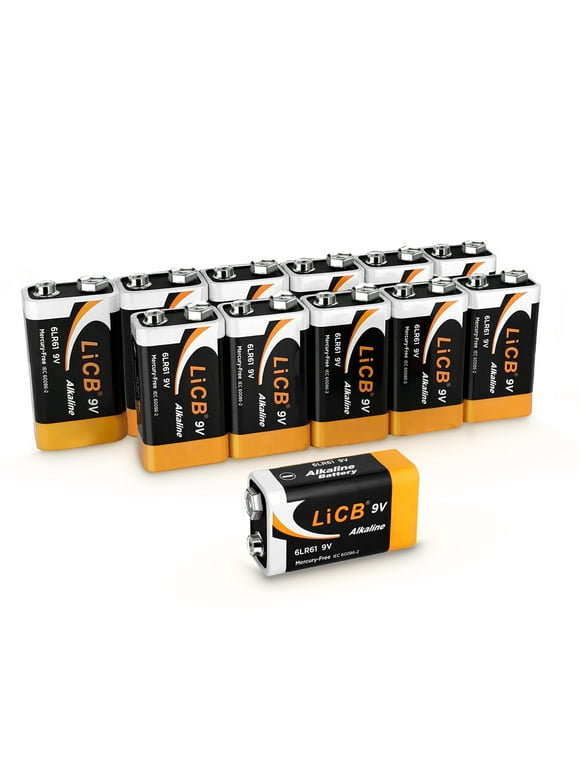LiCB Alkaline 9V Batteries 12-Pack, Long-Lasting 9 Volt Alkaline Batteries Perfect for Smoke Detectors