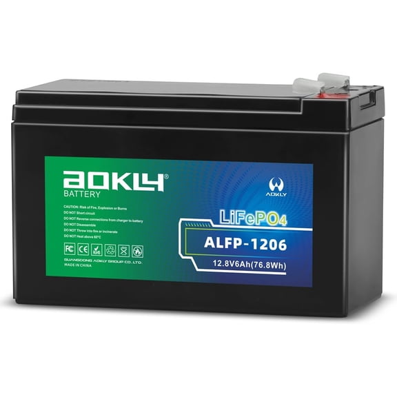 LiFePO4 12V 6AH Battery, With Built-in 6A BMS, 4000+ Cycles Battery for UPS, Ride on Toys, Lighting, Fish Finder
