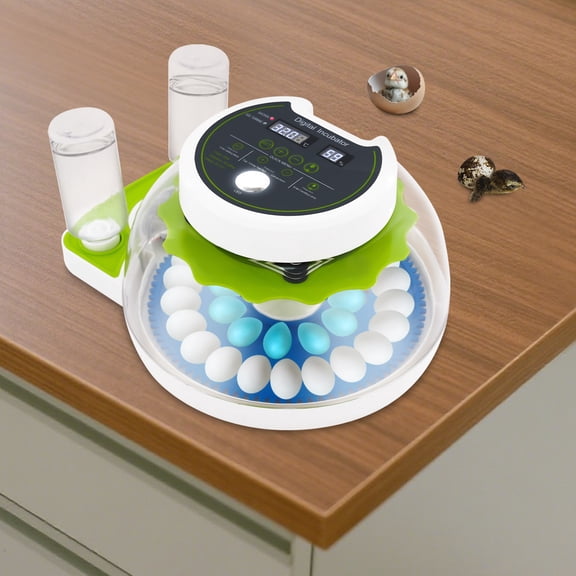 LiHUiee 33 Egg Automatic Digital Quail Incubator w/ Auto Turn Waterer Dual Power US Plug for Home, Farm