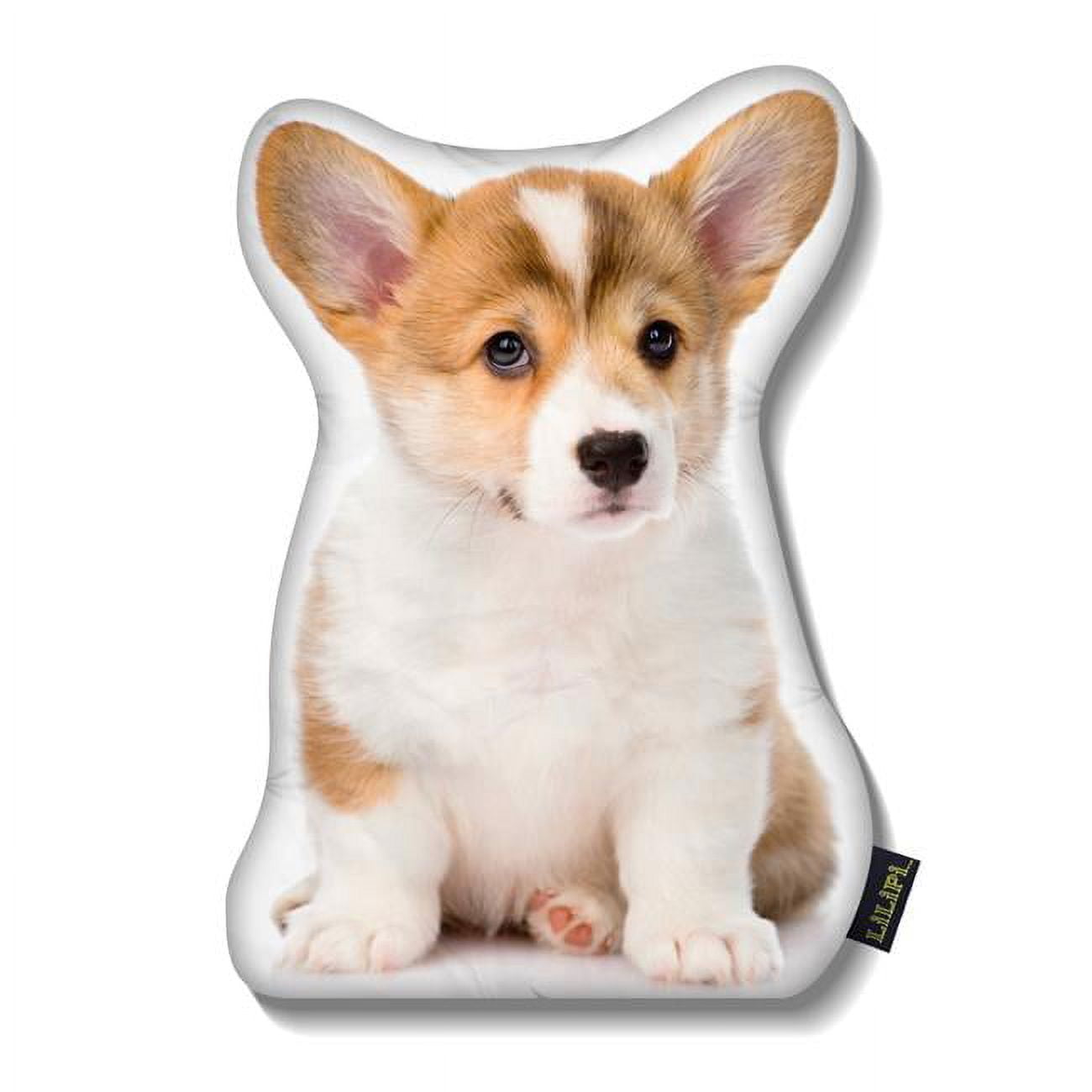 Lilipi pets sale