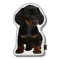 thumbnail image 1 of LiLiPi Brand PUSH10 Dachshund Black Puppie Shaped Pillow, 1 of 1