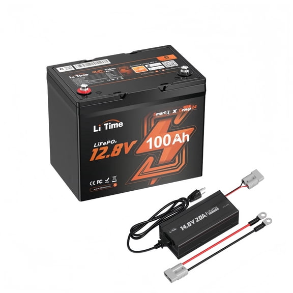 LiTime 12V 100Ah Group 24 Bluetooth LiFePO4 Battery with 12V 20A Lithium Battery Charger, Built-in 100A BMS, Low-Temp Protection, Max. 15000 Cycles, Perfect for RV, Trolling Motors