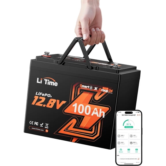 LiTime 12V 100Ah Group 24 Bluetooth LiFePO4 Battery Lithium Battery 100A BMS for RV, Solar System, Trolling Motors
