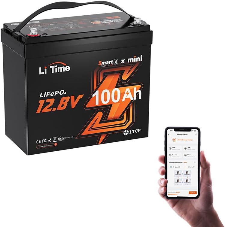 LiTime 12V 100Ah MINI LiFePO4 Battery 100A BMS Bluetooth Lithium Battery for RV Travel Trailers