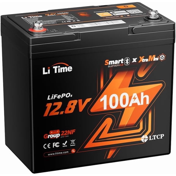 LiTime 12V 100Ah Mini Size Bluetooth LiFePO4 Battery, 4000+ Deep Cycle Lithium Battey, Perfect for RV, Travel Trailer, Trolling Motor