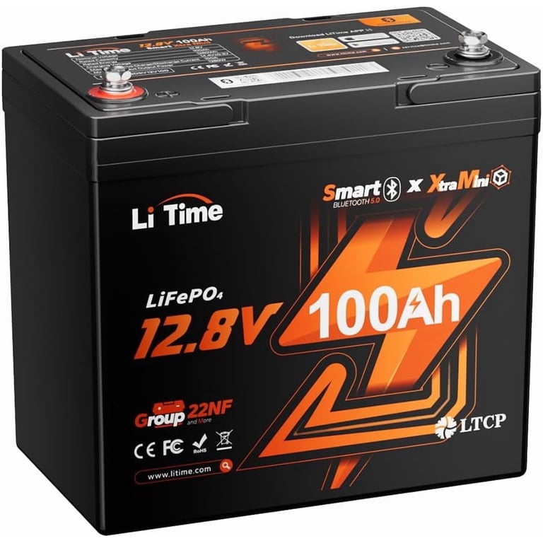 LiTime 12V 100Ah Mini Size Bluetooth LiFePO4 Battery, 4000+ Deep 