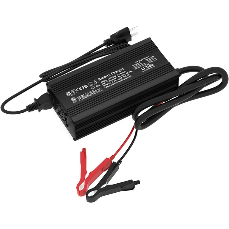 LiTime 12V 20A Lithium Battery Charger, 14.6V LiFePO4 Smart AC-DC Battery  Charger for Lithium LiFePO4 Deep Cycle Batteries 