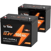 LiTime 2 Pack 12V 100Ah RV Lithium Battery Group 24 LiFePO4 Battery up to 15000 Cycles for RV Solar