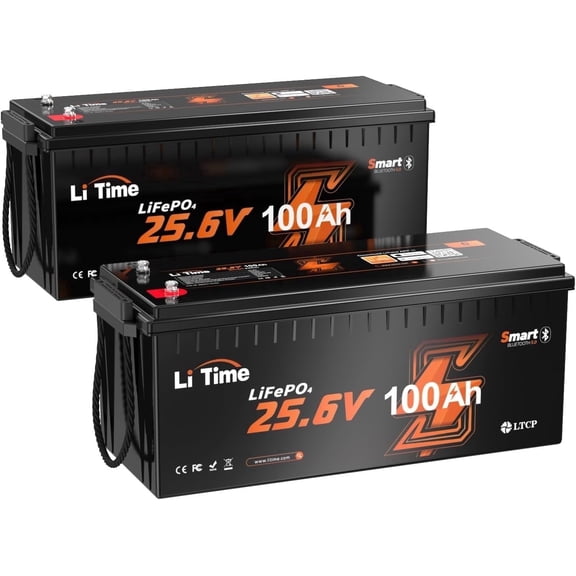 LiTime 2 Pack 24V 100Ah Bluetooth LiFePO4 Battery, Low-Temp Protection, 100A BMS 4000+ Cycles Max. 2560Wh Energy for Marine, Home Energy Storage