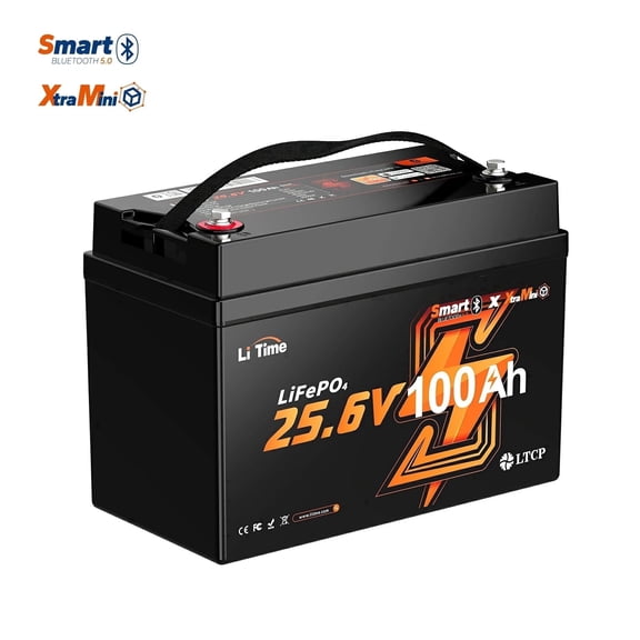 LiTime 24V 100Ah Group 31 Bluetooth Lithium Battery for Trolling Motors - Mini Size, 6000+ Deep Cycles, Low-temp Cutoff Protection